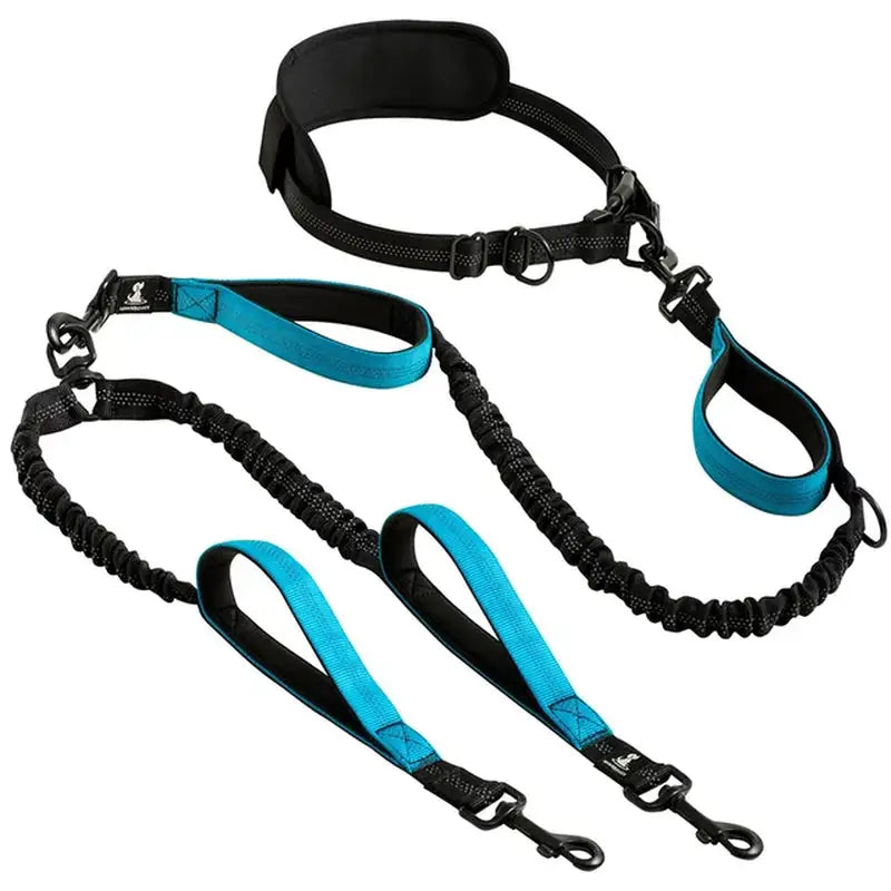 Reflective Comfort Leash Duo