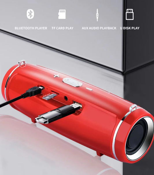 Portable Bluetooth Speaker