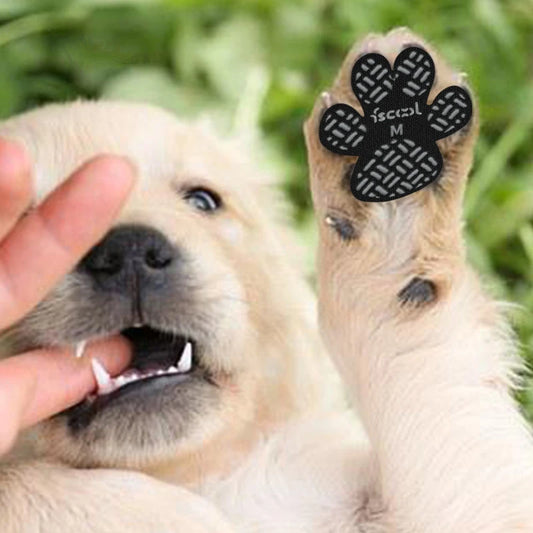 Dog Anti Slip Paw Grips