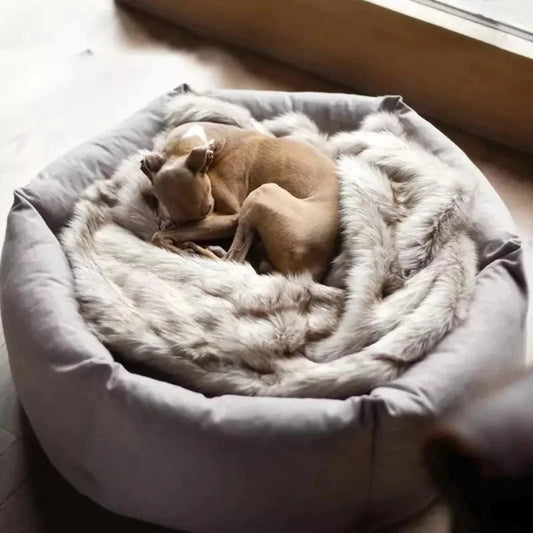 Cozy Paws Calming Dog Bed