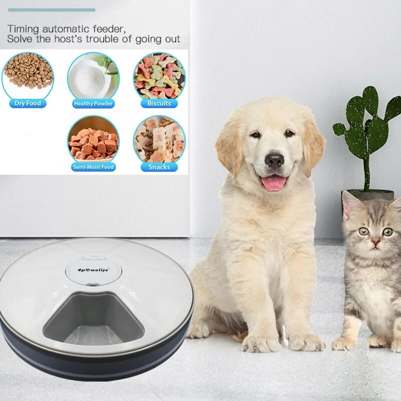 Automatic 6-Meal Pet Feeder